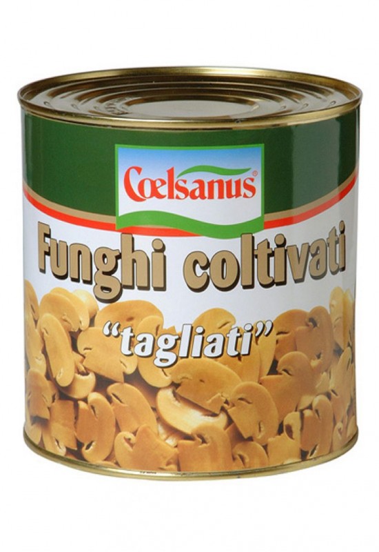 Funghi Coltivati 